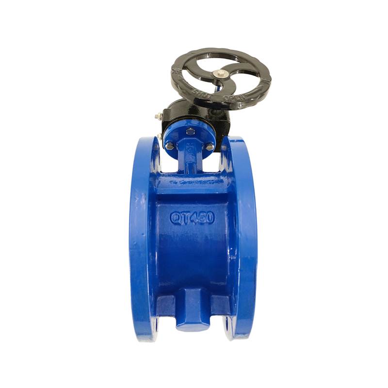 butterfly wheel flange butterfly valves show butterfly wheel flange butterfly valves show